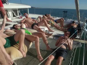 pink monkey stag and hen