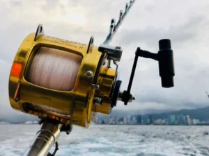 REEF FISHING LISBON