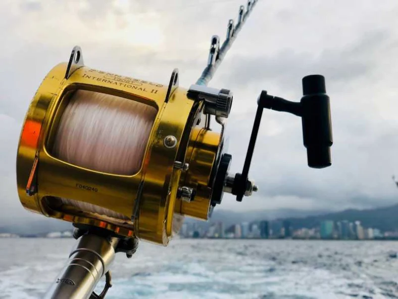 REEF FISHING LISBON