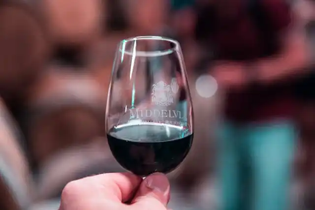 Porto wine tasting hen party