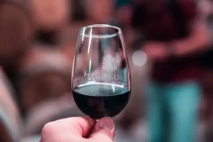 PORT TASTING HEN PARTY in Lisbon or Porto