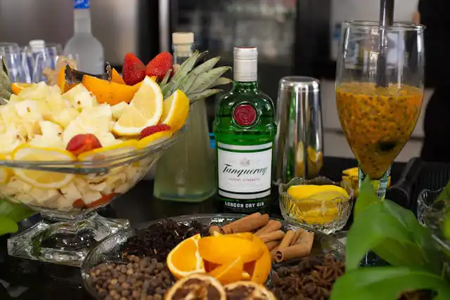 Gin tasting Porto
